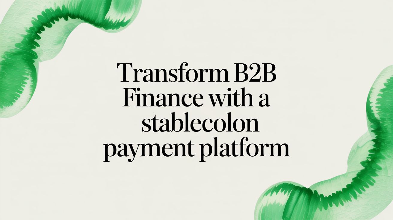 Transform B2B finance with a stablecoin payment platform